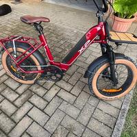Bicicletta elettrica