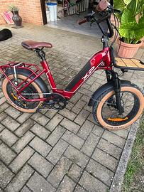 Bicicletta elettrica