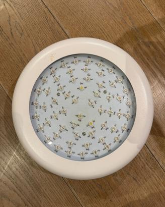Lampada LED coltivazione