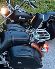 Sissy bar + portapacchi Harley Davidson