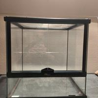 Terrario terratlantis