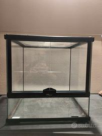 Terrario terratlantis