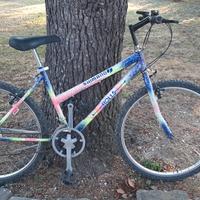 Mountain bike