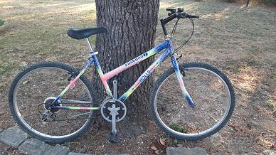Mountain bike