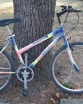 Mountain bike