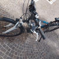 Bici elettrica
