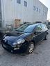 fiat-punto-1-2-young-5p