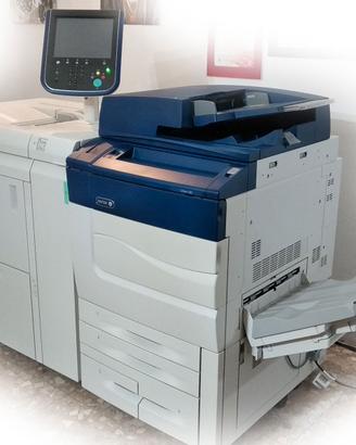 Stampante Multifunzione Xerox C60