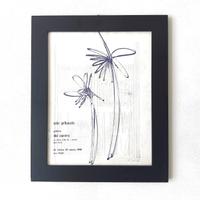 Manifesto Mostra Ezio Gribaudo 1968