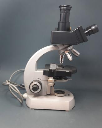 Microscopio Zeiss con 4 ottiche