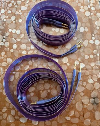 Cavi dí  potenza Erumpent purple gold