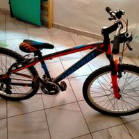 Bici mtb