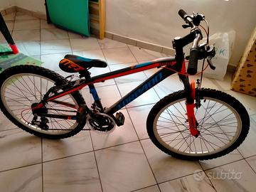 Bici mtb