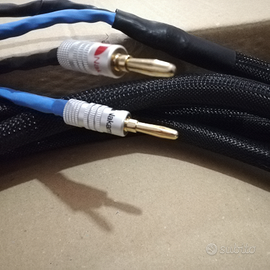 Cavo audio Hifi