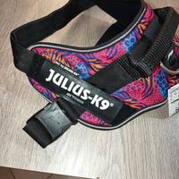 Pettorina x il cane Taglia Grande xl 