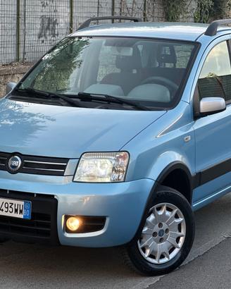 Fiat Panda 1.2 benzina 4x4 Climbing 2006