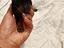 Immagine 12