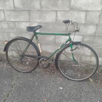 bicicletta con cambio 