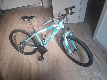 bicicletta mountain bike con cambio