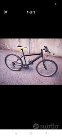 Bicicletta Mountain bike