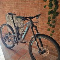  SantaCruz Megatower C