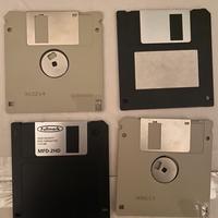 Floppy disk da 3,5 pollici