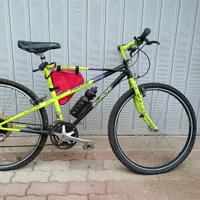 bicicletta bianchi pholcus