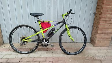 bicicletta bianchi pholcus