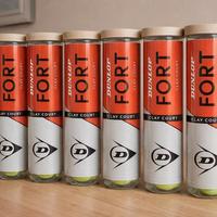 Palline da tennis Dunlop Fort Clay Court – 6 tubi