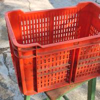cassetta in plastica 