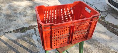 cassetta in plastica 