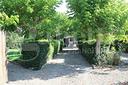 villa-singola-canosa-di-puglia