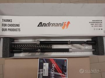 BMW R Nine T - Sospensioni Andreani+Ohlins