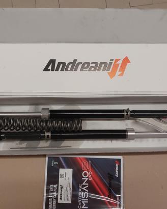 BMW R Nine T - Sospensioni Andreani+Ohlins