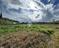 ter-agricolo-a-monterotondo