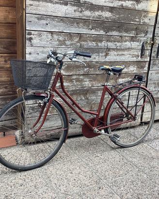 Biciclette varie