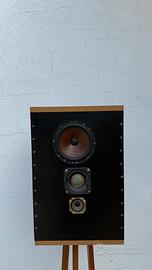 Cassa audio