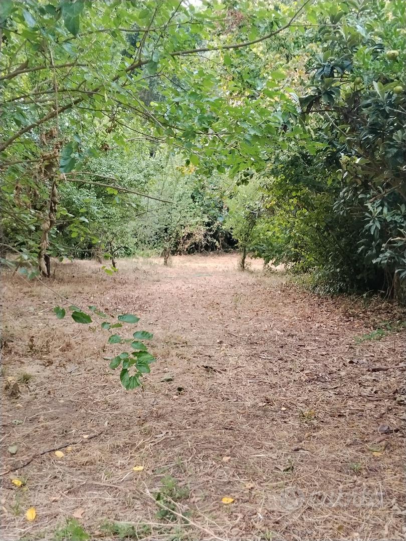 Terreno Agricolo - Vista 5