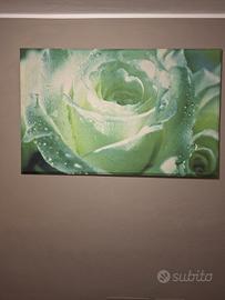 Quadro