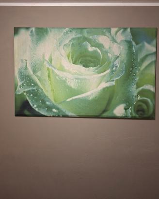 Quadro