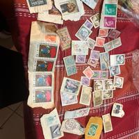 Collezione