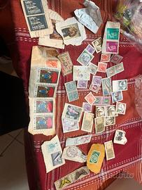 Collezione
