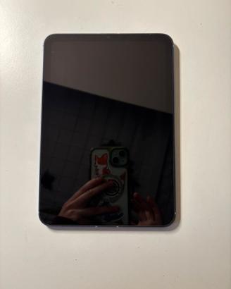 Ipad mini