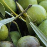 latta olio di oliva 5lt