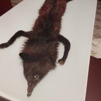 collo di pelliccia di vera volpe