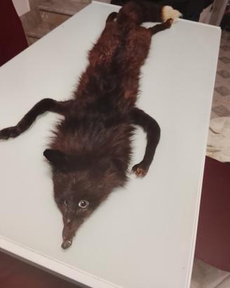 collo di pelliccia di vera volpe