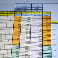 Software Controllo Di Gestione