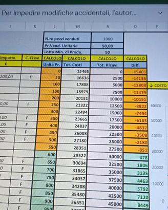 Software Controllo Di Gestione