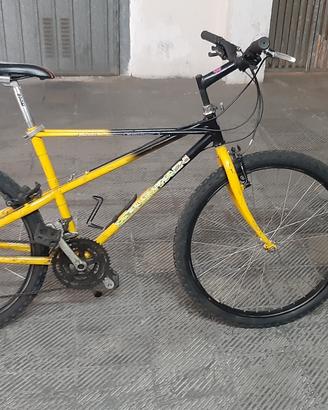 mtb 26 bianchi ragno taglia m 