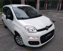 Fiat Panda 1.2 69cv Easy euro6 x neopatentati